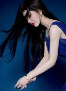 <b>国电动汽车带领者特斯拉的环境略有分歧</b>